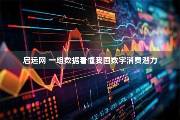 启远网 一组数据看懂我国数字消费潜力